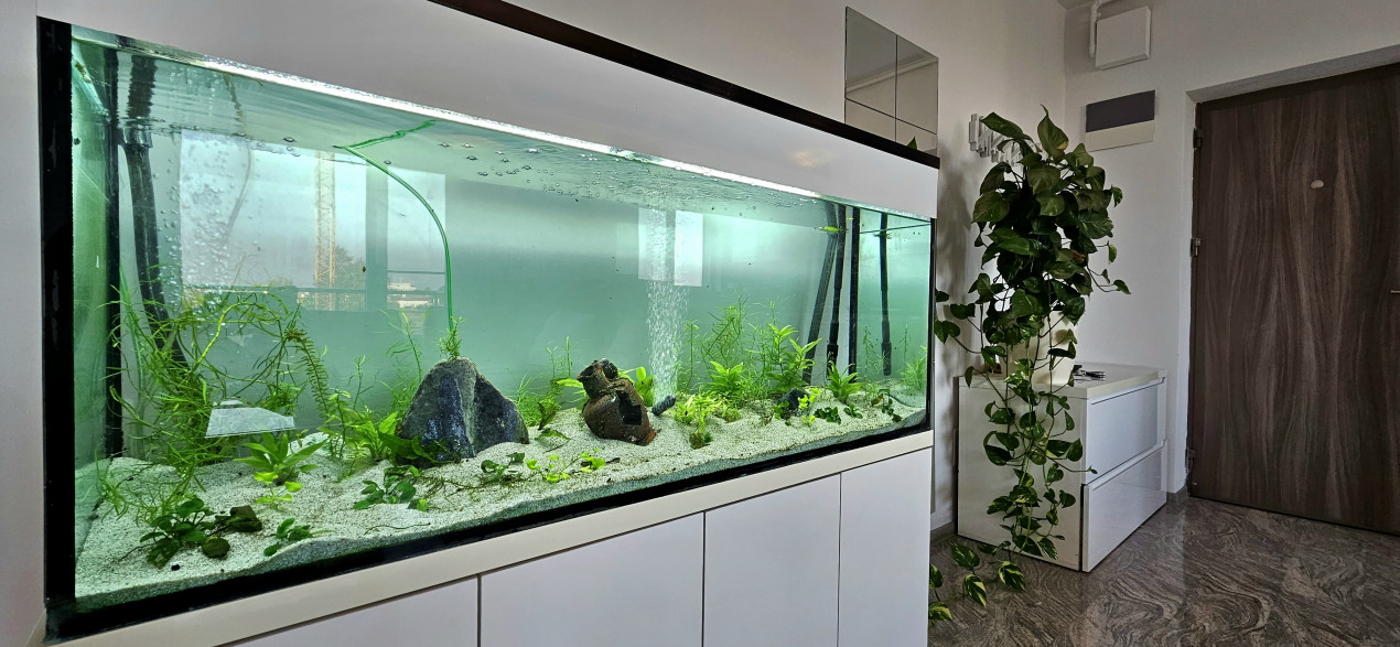 Apartament 2 camere spatios cu vedere libera Pipera